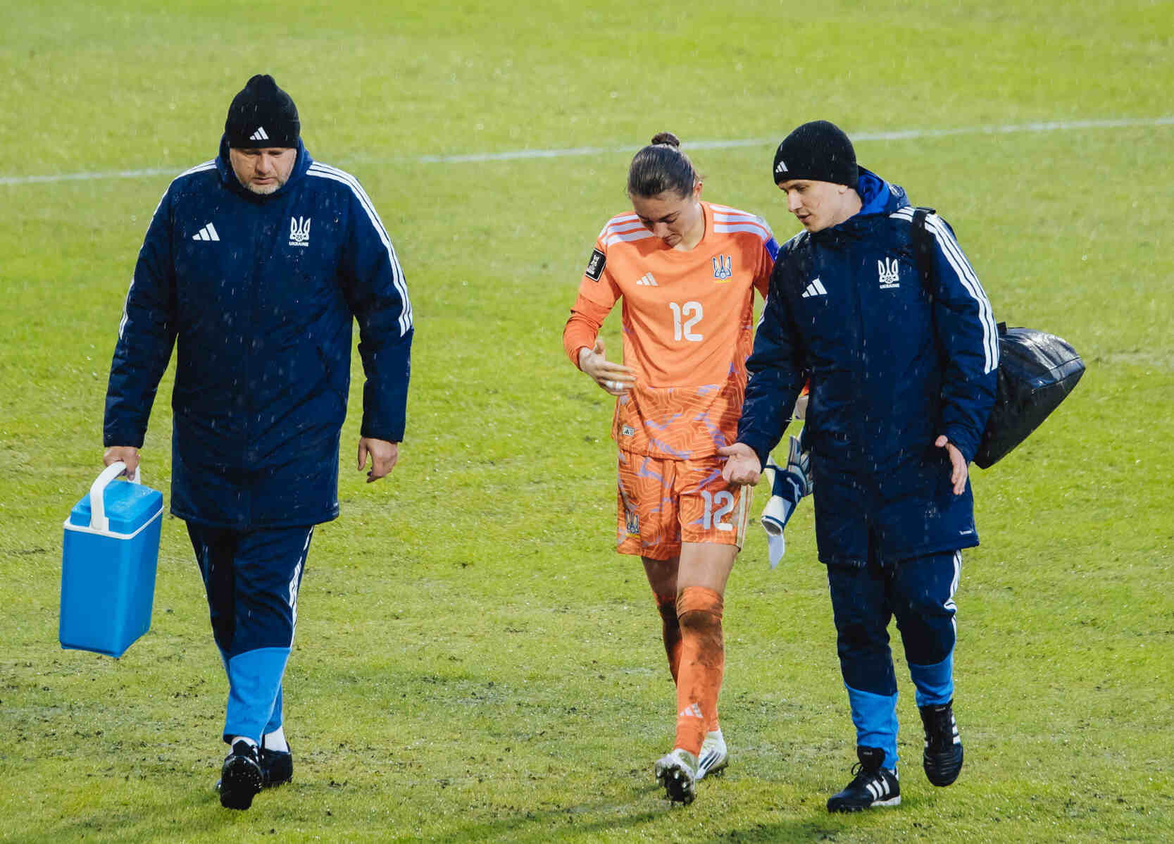 Дарʼя Келюшик (Ісландія)